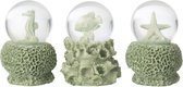 Set van 3 waterbollen met zeeschelpen, zeepaardje, vis en zeester in mintgroen polyresin.