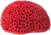 Rood, honingraatvormig decoratiekoraal van polyresin, klein formaat.