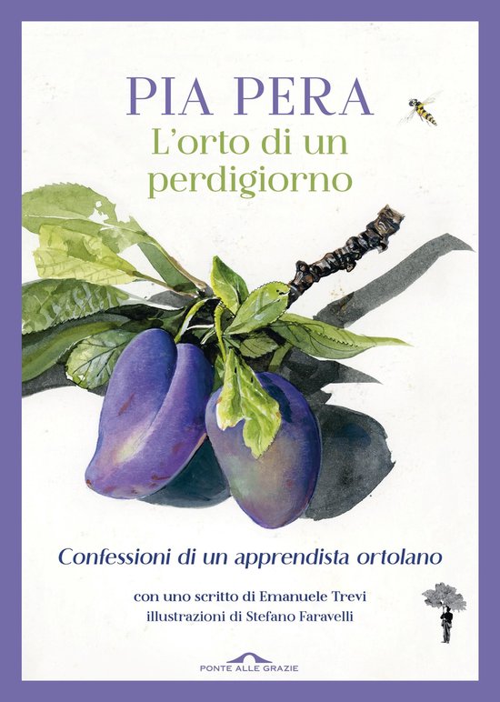 L'orto di un perdigiorno