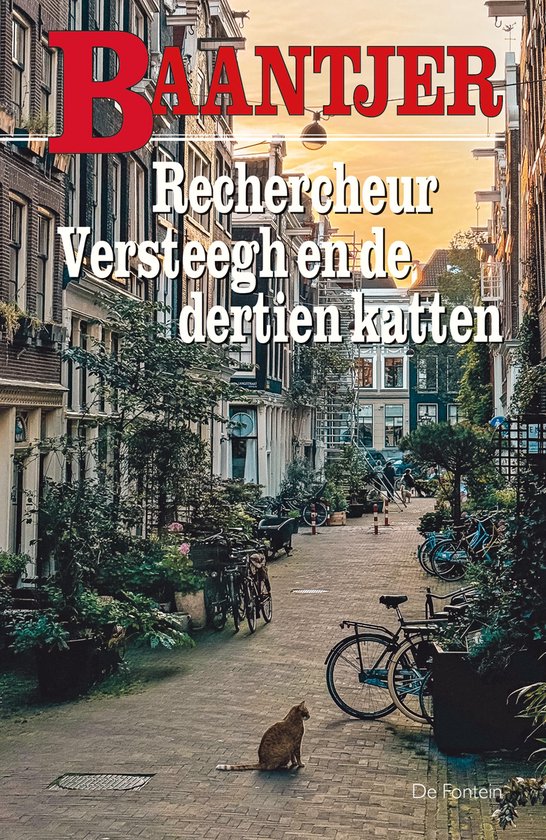 Rechercheur Versteegh en de dertien katten - cover