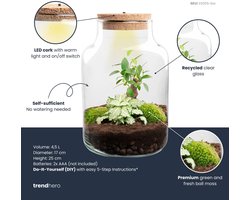 Little Milky - Planten Terrarium met licht - DIY kit - Ecosysteem plant - Ø 17 cm ↑ 25 cm