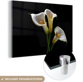 MuchoWow® Glasschilderij 30x20 cm - Schilderij acrylglas - Planten - Bloemen - Wit - Natuur - Botanisch - Foto op glas - Schilderijen
