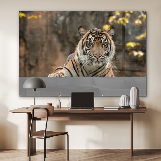 MuchoWow® Peinture sur verre - Tigre - Rochers - Feuilles - 180x120 cm - Peintures sur verre acrylique - Photo sur Glas