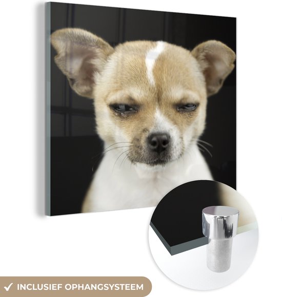 MuchoWow® Glasschilderij 20x20 cm - Schilderij acrylglas - Hond - Huisdieren - Portret - Foto op glas - Schilderijen