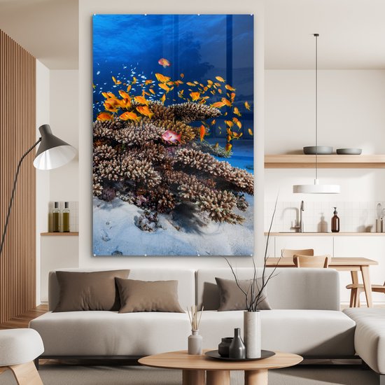 Peinture sur verre - Corail - Poissons - Animaux aquatiques - Oranje - Photo sur verre - Décoration murale - 100x150 cm - Peinture sur verre