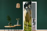 Deursticker Schapen - Dieren - Wol - 90x215 cm - Deurposter