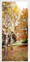 Deursticker Herfst - Bomen - Bladeren - natuur - 80x215 cm - Deurposter