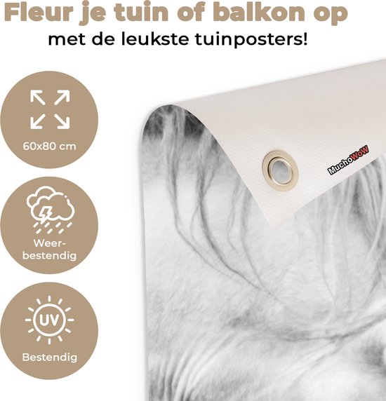 Tableau jardin Cheval - Animaux - Portrait - Wit - 60x80 cm - Affiche jardin - Toile jardin - Affiche extérieur