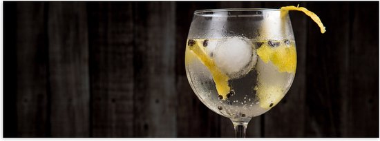 Poster (Mat) - Gin Tonic met Citroenschijfjes - 60x20 cm Foto op Posterpapier met een Matte look