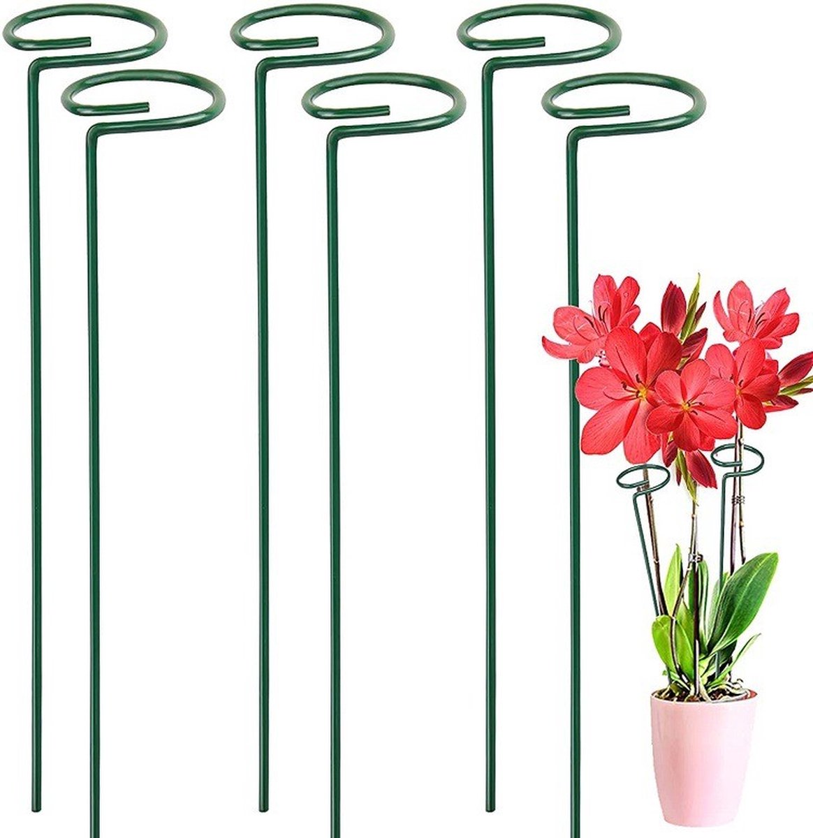 Lot De 6 Supports Pour Plantes De Jardin Avec Attaches Pour