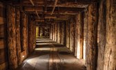 Wood Tunnel Mine Photo Wallcovering