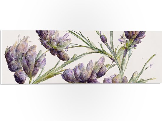 PVC Schuimplaat- Aquaruel Verf Tekening van Lavendel Bloemen - 60x20 cm Foto op PVC Schuimplaat