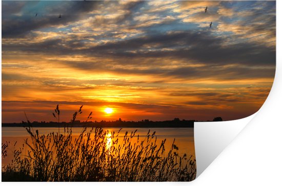 Zonsondergang boven water met silhouetten van riet, vogels en wolken.