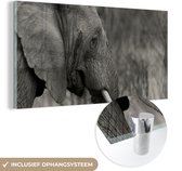 MuchoWow® Glasschilderij 120x60 cm - Schilderij acrylglas - Olifant - Dieren - Zwart - Wit - Foto op glas - Schilderijen