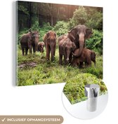 MuchoWow® Peinture sur verre - Éléphant - Animaux - Forêt - Herbe - Vert - 120x90 cm - Peintures sur verre acrylique - Photo sur Glas