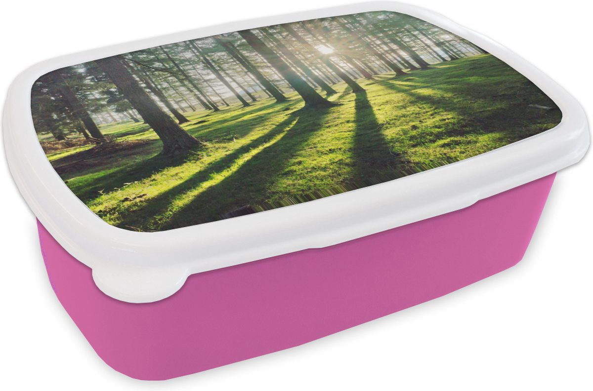 Broodtrommel Roze - Lunchbox - Brooddoos - Bomen - Natuur - Bos - 18x12x6 cm - Kinderen - Meisje