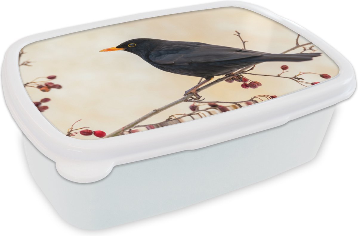 Broodtrommel Wit - Lunchbox - Brooddoos - Merel - Vogel - Takken - Bes - Rood - 18x12x6 cm - Volwassenen