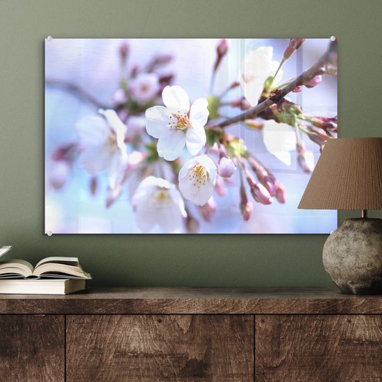 MuchoWow® Peinture sur verre 60x40 cm - Peinture sur verre acrylique - Fleurs - Sakura - Branche - Branches fleuries - Photo sur verre - Peintures