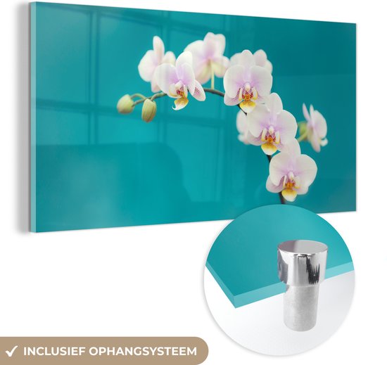 MuchoWow® Glasschilderij 40x20 cm - Schilderij acrylglas - Orchidee - Bloemen - Plant - Wit - Paars - Foto op glas - Schilderijen