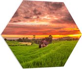 PVC Schuimplaat Hexagon - Zonsondergang bij de Thaise Rijstvelden - 80x69.6 cm Foto op Hexagon (Met Ophangsysteem)