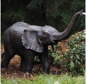 Tuinbeeld - bronzen beeld - Kleine olifant - 68 cm hoog