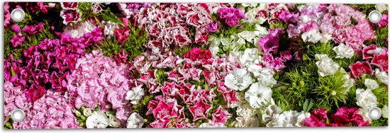 Tuinposter – Bloemen - Natuur - 60x20 cm Foto op Tuinposter (wanddecoratie voor buiten en binnen)