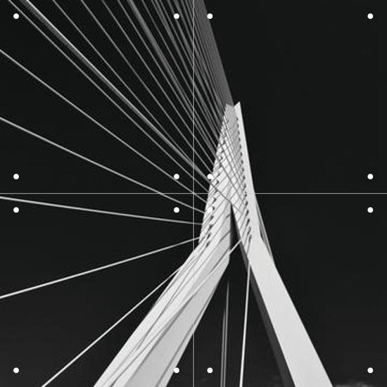 IXXI Erasmus Bridge - Wanddecoratie - Landen - 40 x 40 cm
