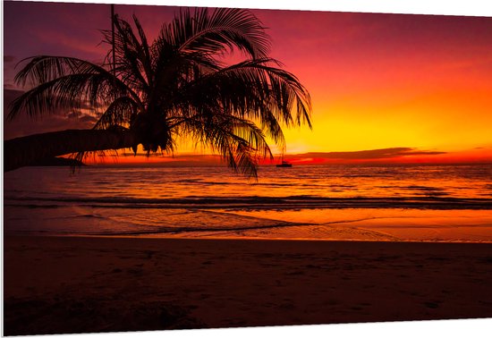 PVC Schuimplaat - Silhouet van Palmboom Hangend over het Strand tijdens Rozekleurige Zonsondergang - 150x100 cm Foto op PVC Schuimplaat (Met Ophangsysteem)