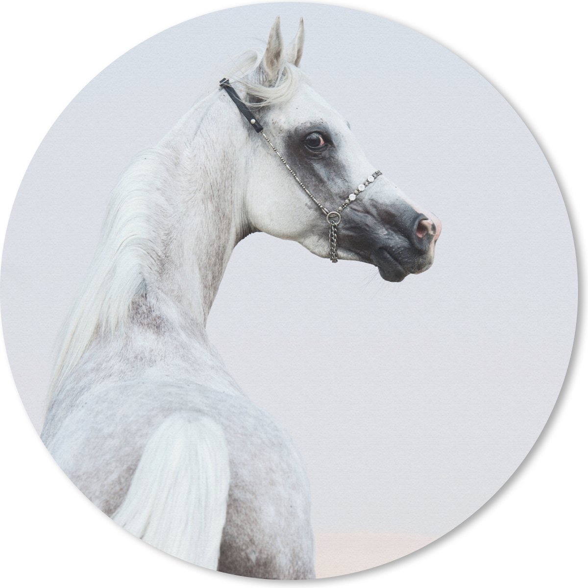 Muismat rond 50x50 cm - Mousepad Paard - Zand - Pastel - Ronde muismatten
