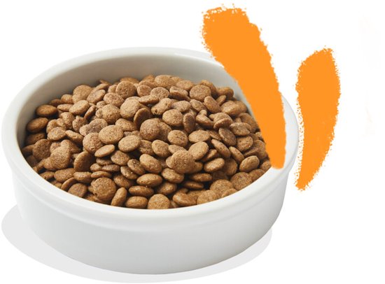 Witte kom gevuld met bruine kattenbrokjes.
