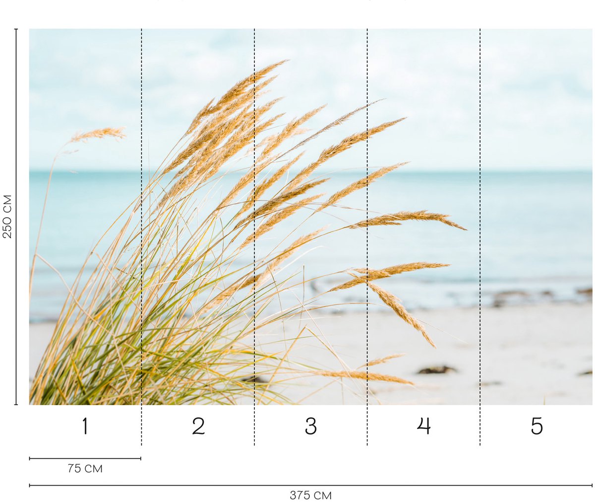 Fotobehang duingras op het strand in beige blauw