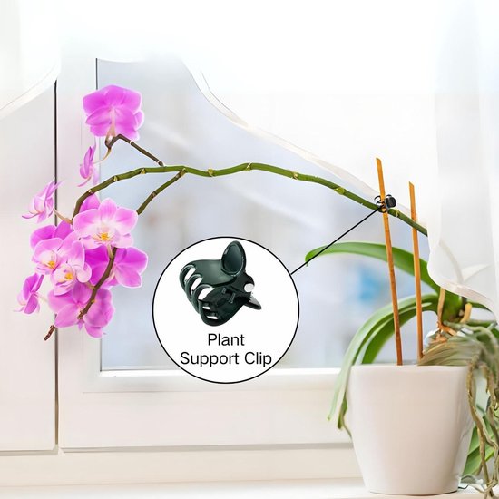 Cadeau-ideeën: Items die het vaakst als cadeau worden besteld in Plantenrekken & -steunen