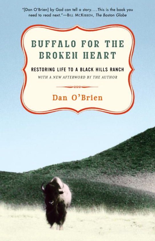 Buffalo for the Broken Heart - cover