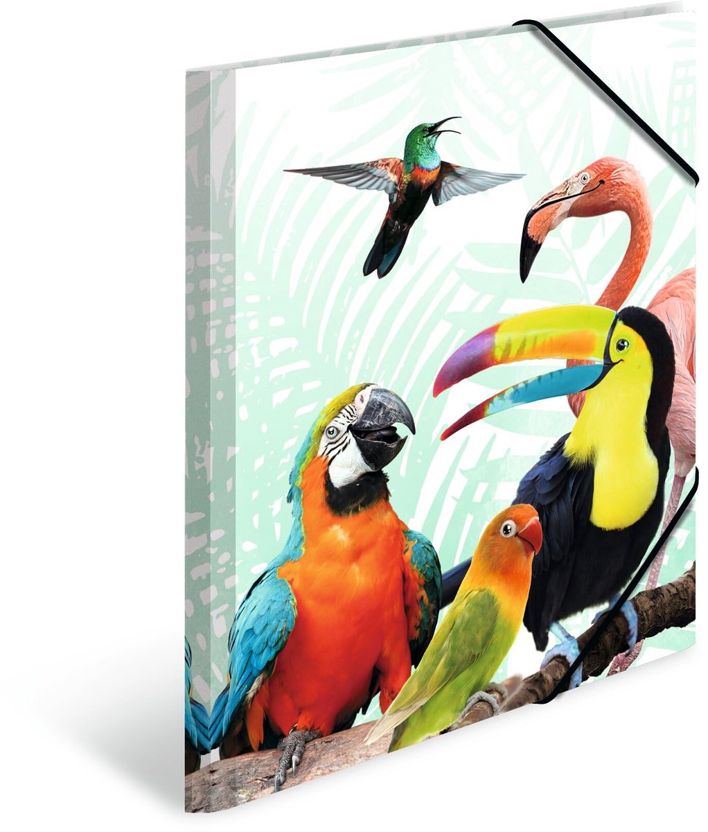 HERMA A4 Papegaaien Mappen Set, 3-delig, kinderhoekmappen van kunststof met dierenmotief, elastiek, binnenflappen en binnenopdruk voor jongens en meisjes