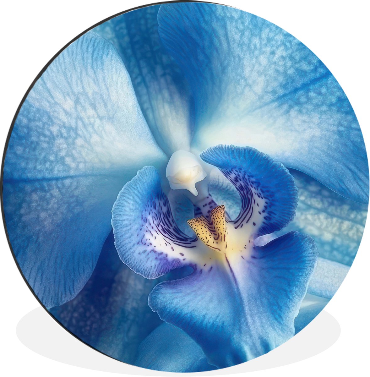 WallCircle Wandcirkel - Muurcirkel - Blauw - Orchidee - Elegeant - Aluminium - Dibond - 120x120 cm - Binnen en Buiten