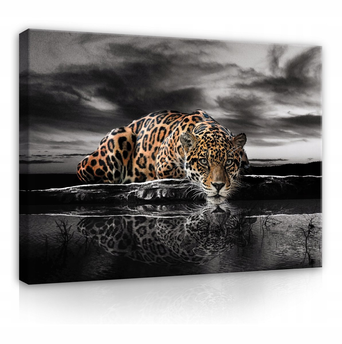 WALLARENA Canvas schilderij - 120x80 cm - afbeelding van een tijger, jaguar en cheeta multikleurig