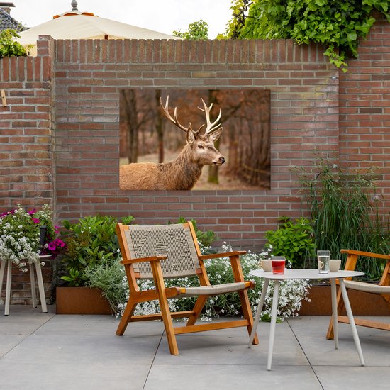 Tuinposter op canvas van een hertenkop in een herfstbos, buiten opgehangen aan een bakstenen muur, met tuinmeubilair.