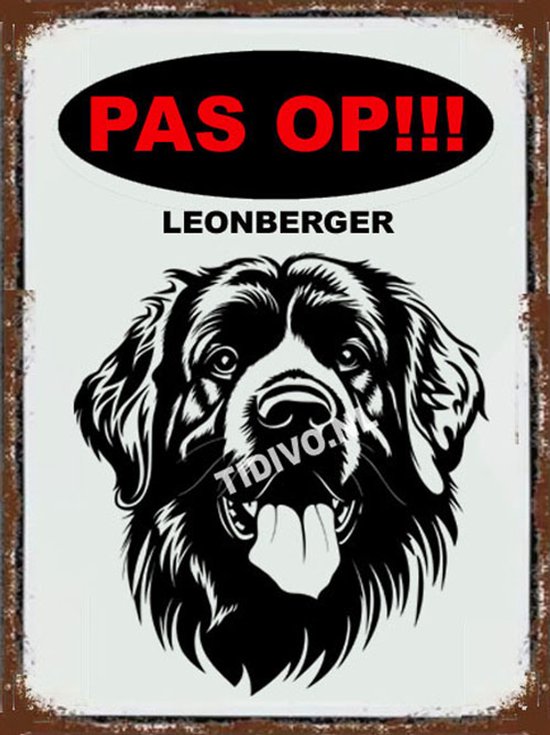 Leonberger 17