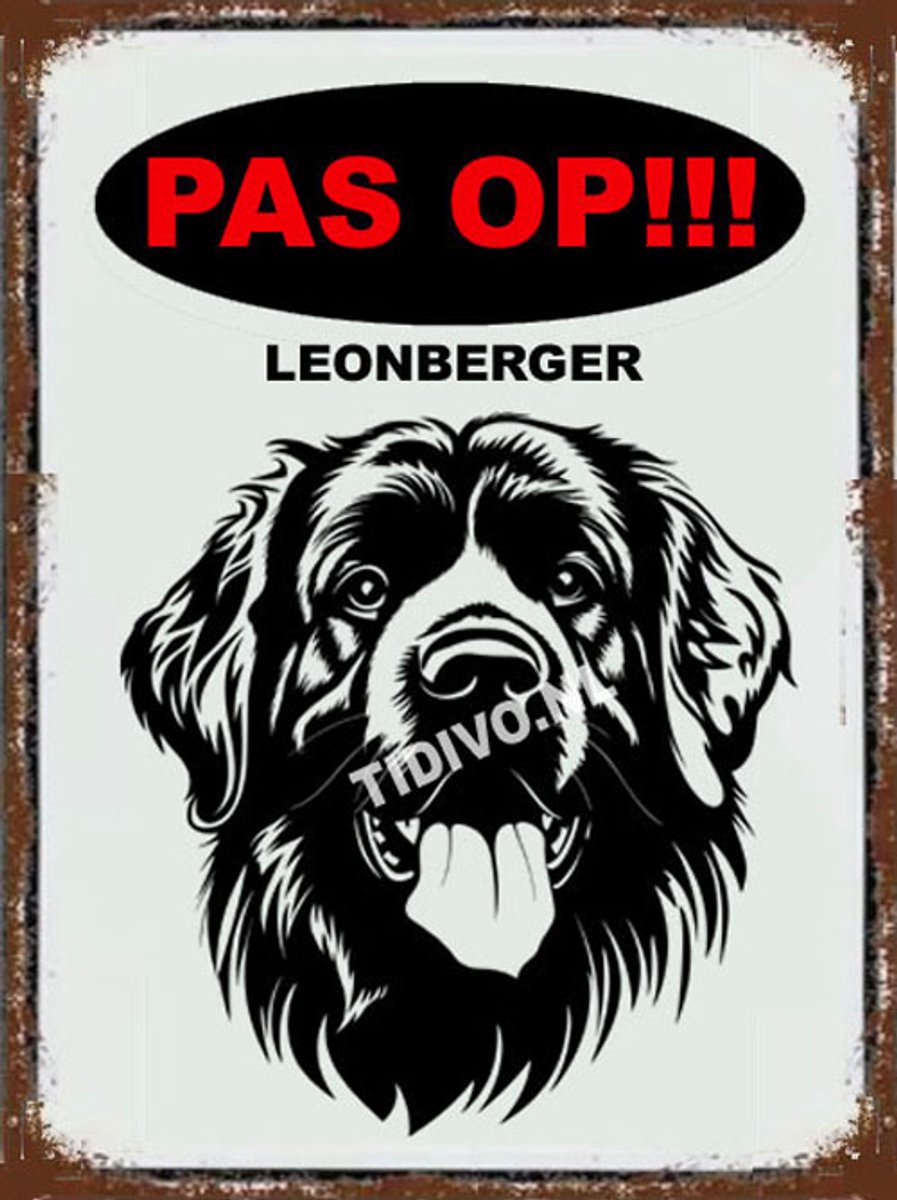 Leonberger 17
