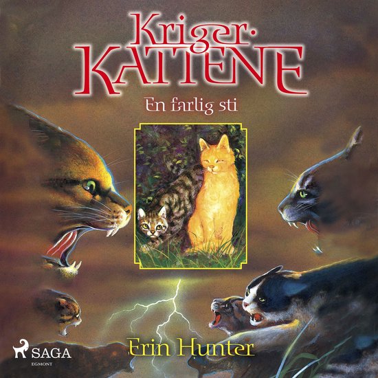 Krigerkattene 5: En farlig sti - cover