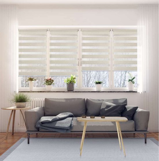 Woonkamer met drie beige duo rolgordijnen voor een raam met uitzicht op bomen.