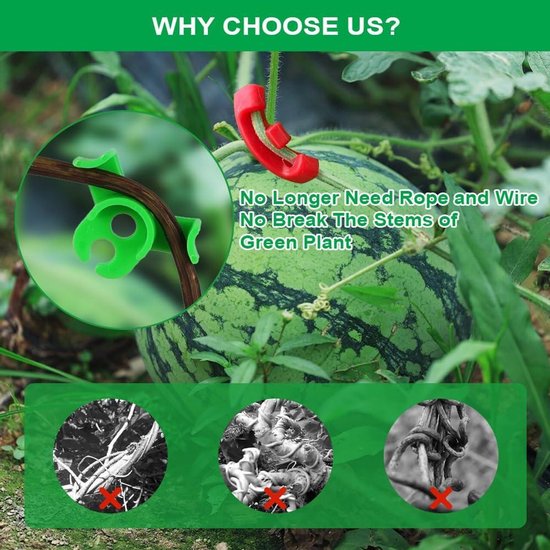 Groene plantenklemmen-plantenclips 28x stuks van 4 3 en 6 3 cm