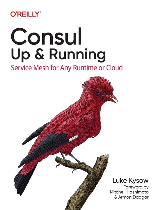 Consul: Up and Running - cover