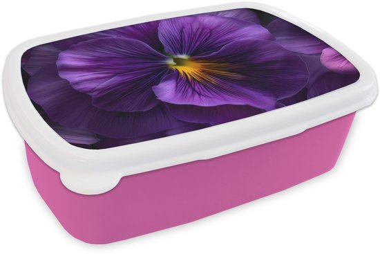 Broodtrommel Roze - Lunchbox Paars - Viool - Diepte - Brooddoos 18x12x6 cm - Brood lunch box - Broodtrommels voor kinderen en volwassenen