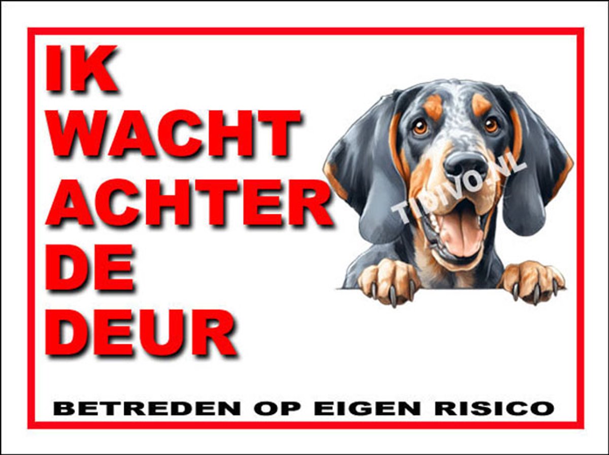 Bluetick Coonhound 10