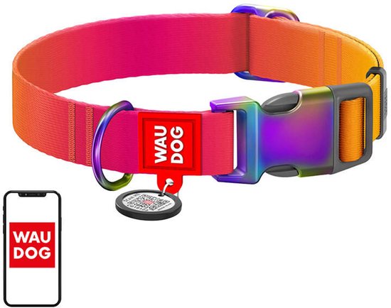 FAVPET Luxus Echtleder Windhund Halsband Breit mit QR Code Anhänger, Weiches Lederhalsband Hund Breit Whippet Italienisches Windspiel Saluki Lurcher Spanischer Galgo Greyhound Podenco (M, Grün FAVPET Luxus Echtleder Windhund Halsband Breit mit QR Code Anhänger, Weiches Lederhalsband Hund Breit Whippet Italienisches Windspiel Saluki Lurcher Spanischer Galgo Greyhound Podenco (M, Grün