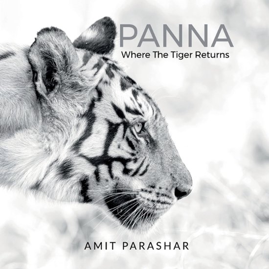 Panna