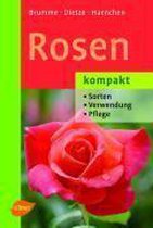 Rosen kompakt