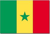 Vlag Senegal 90 x 150 cm