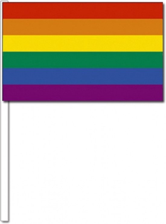 10 zwaaivlaggetjes met regenboog 12 x 24 cm